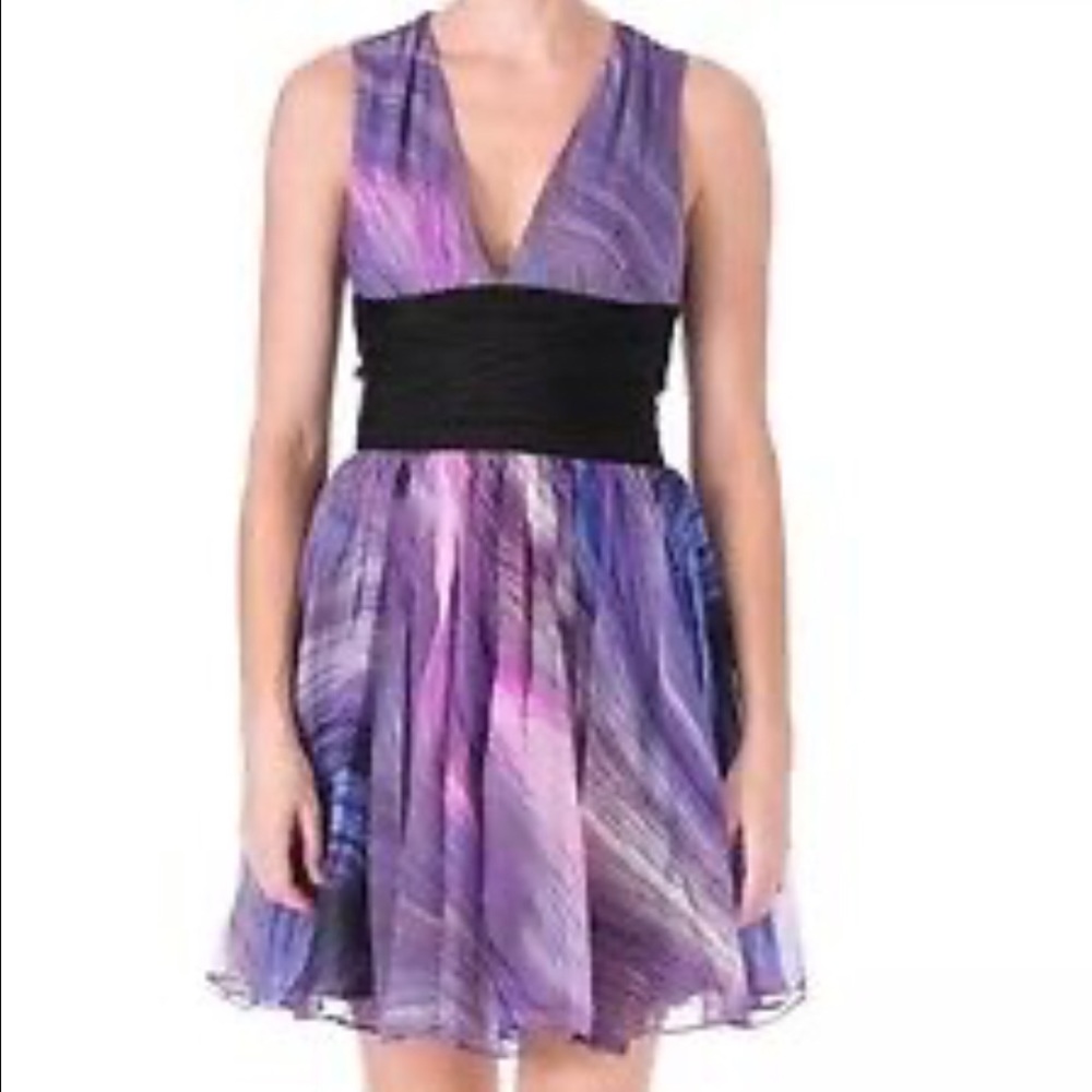 Elizabeth and James Jana Mini Silk Purple Dress Size 0